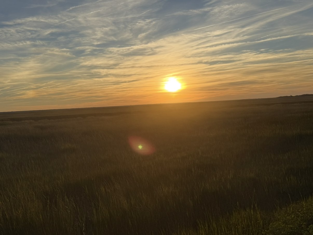 Golden marsh sunset near St. Simons Island, Georgia